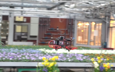 FlyingData – Drohne fliegt autonom im Gewächshaus